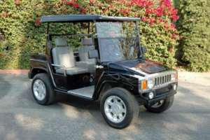 affordable golf cart rental, golf cart rent melbourne beach